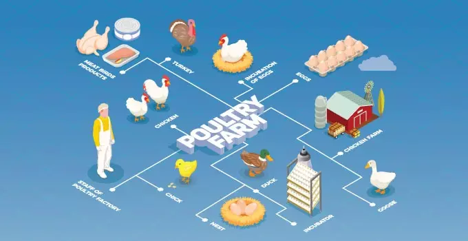 Poultry and Dairy Farm System
